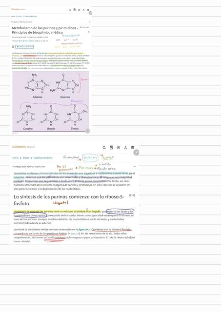 Portafolio semana 9 | Juan Marcelo | uDocz