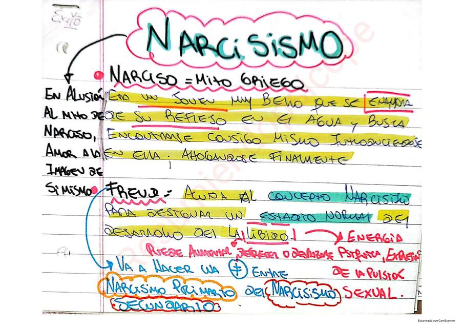 ficha narcisismo