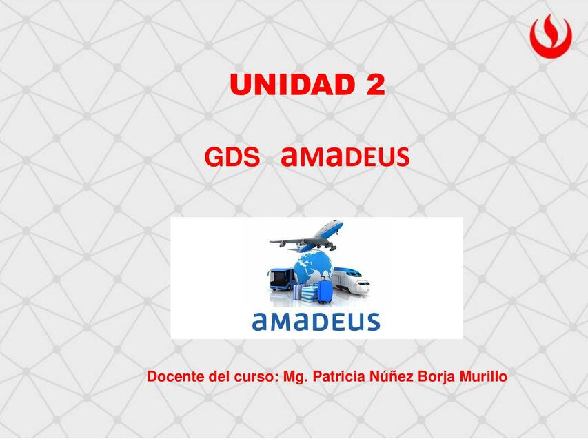 2 1 INTRODUCCIÓN AMADEUS