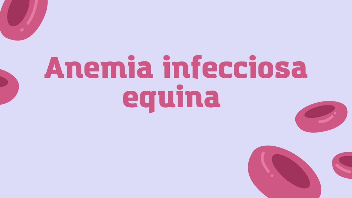 Anemia Infecciosa equina