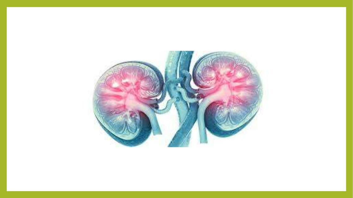 FISIOLOGIA RENAL