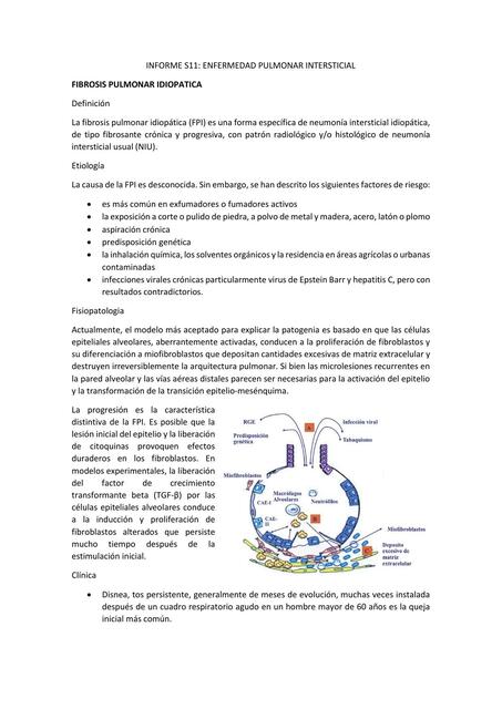 MÓDULO 3 INFORME S11 LIZZETT