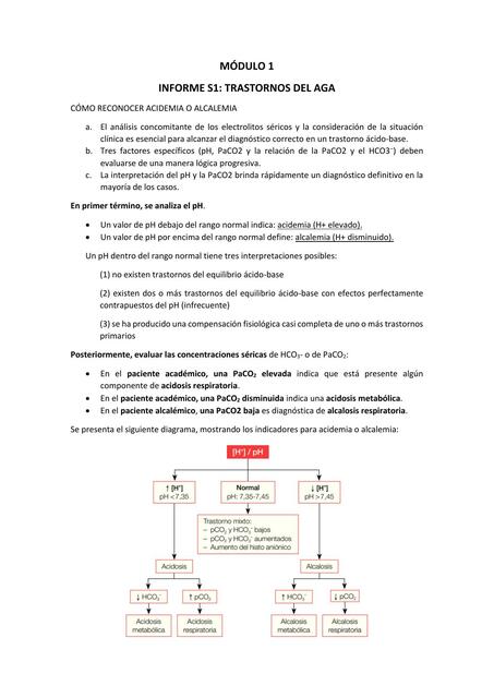 MÓDULO 1 INFORME S1 LIZZETT