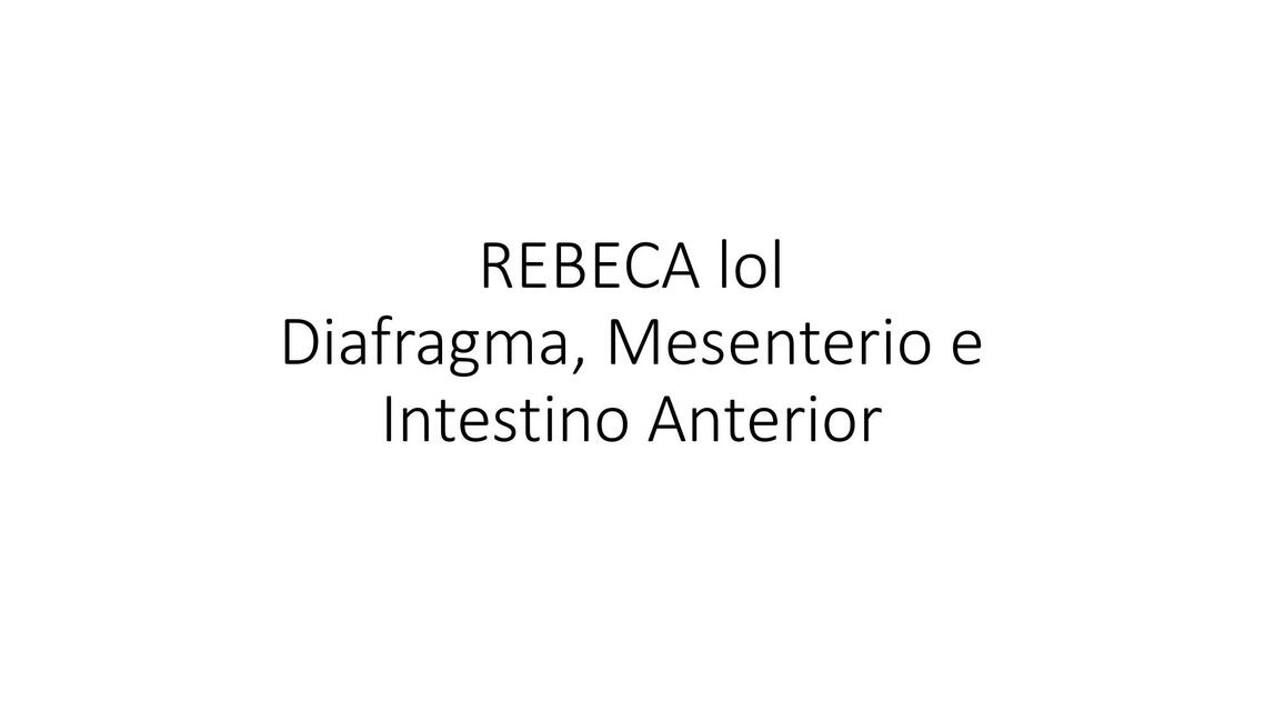 Diagrama, mesenterio e intestino anterior 