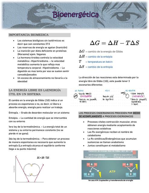 Bioenergética HARPER CAP11-13 resumen completo con imágenes ilustrativas