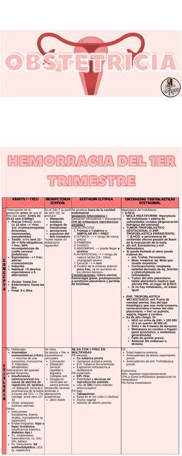 HEMORRAGIA DEL PRIMER TRIMESTRE