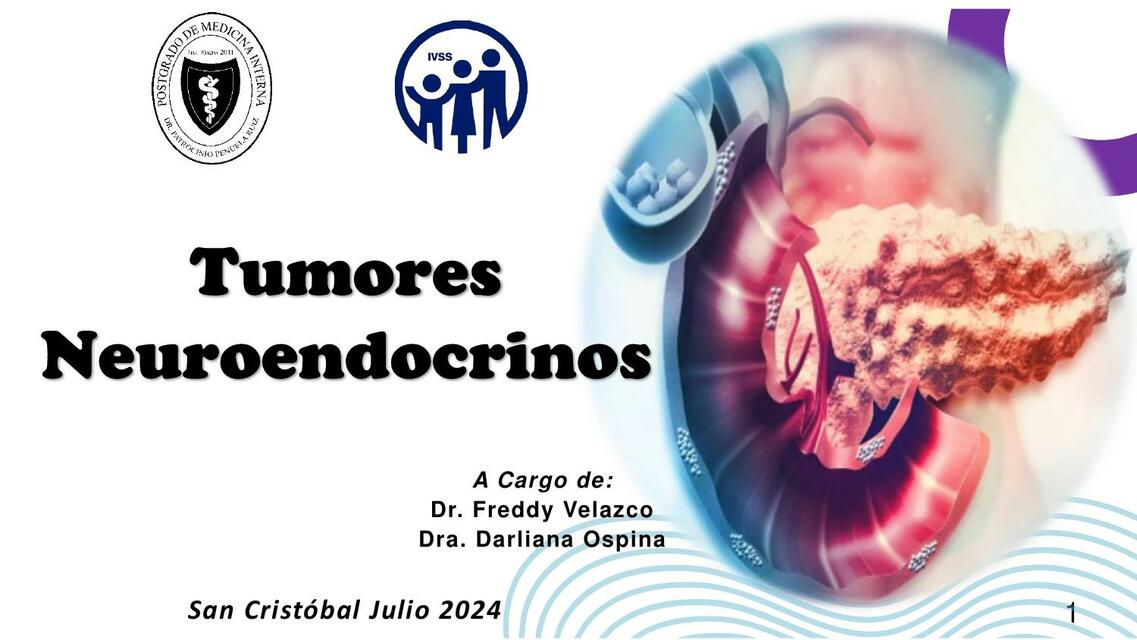 Tumores Neuroendocrinos