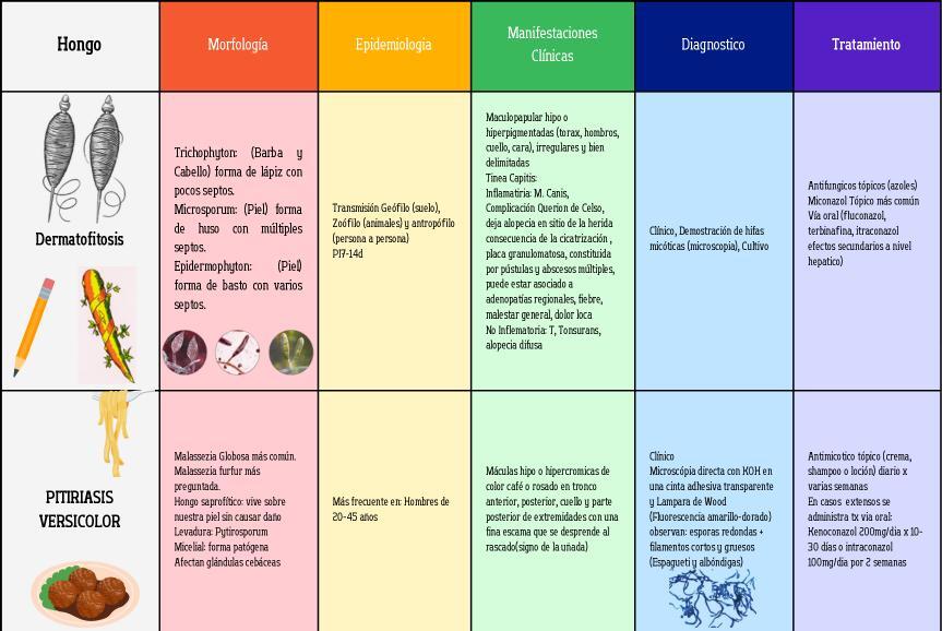 Hongos Microbiología pdf