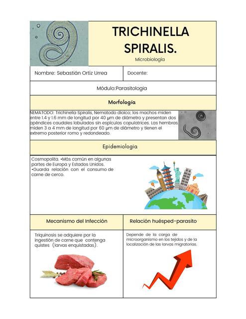 Trichinella spiralis