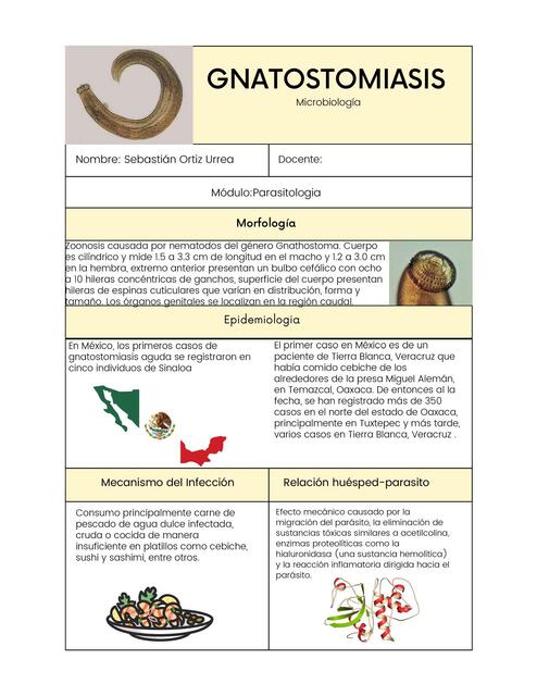 Gnatostomiasis