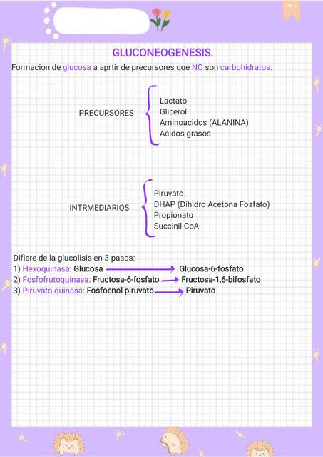 Gluconeogenesis