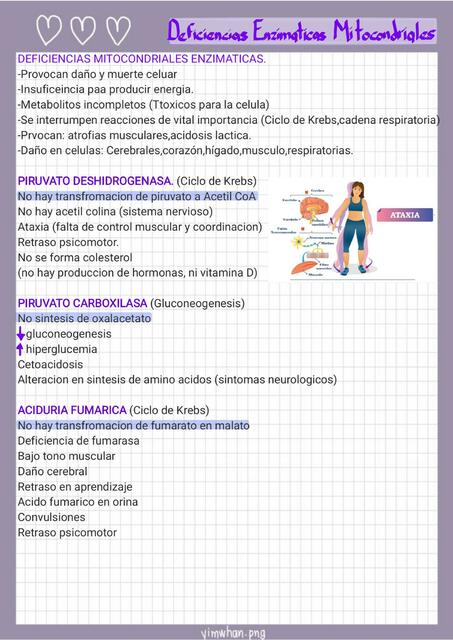 Deficiencias Enzimaticas Mitocondriales