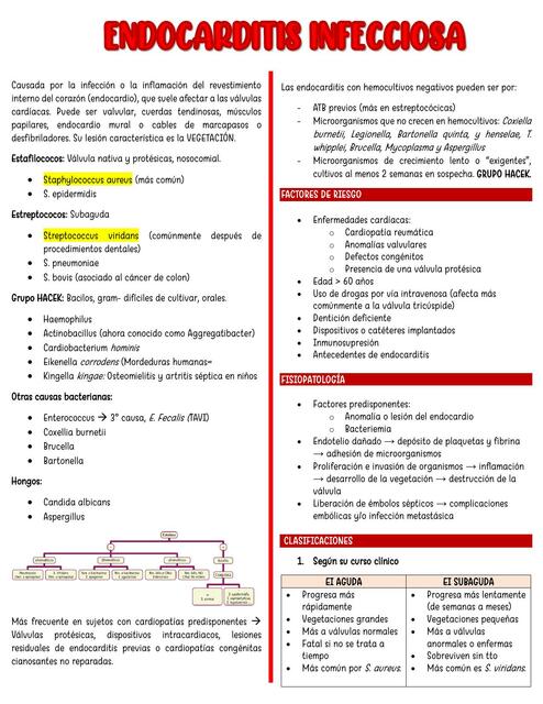 Endocarditis infecciosa