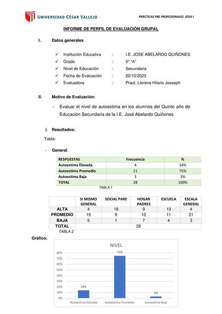 informe de perfil de evaluación grupal 