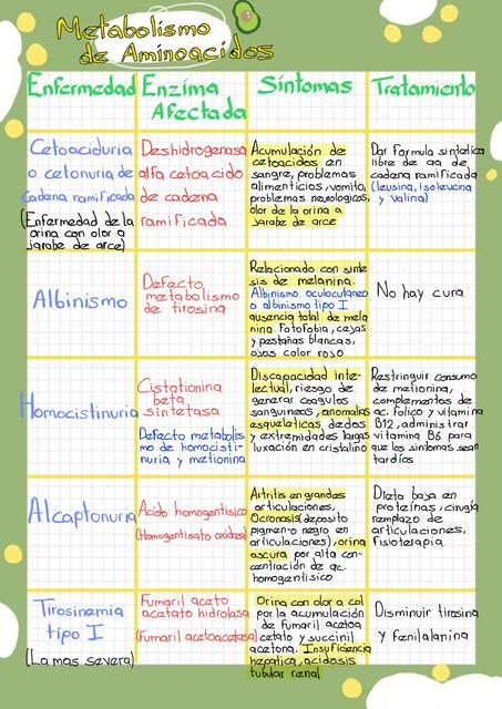 Alteraciones metabolismo de Aminoácidos