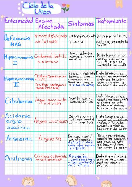 Alteraciones Ciclo de la Urea