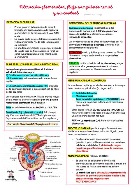 Capitulo 27 GUYTON flujo glomerular