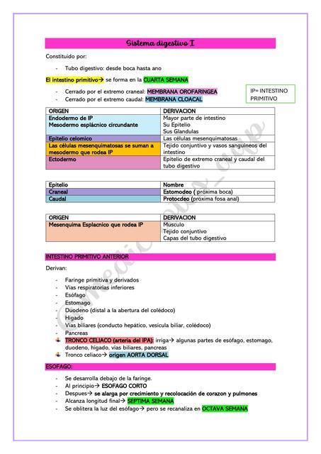 SISTEMA DIGESTIVO EMBRIOLOGIA MOORE