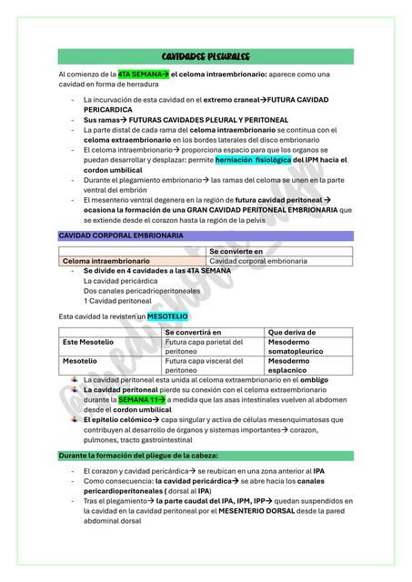 CAVIDADES PLEURALES EMBRIOLOGIA MOORE