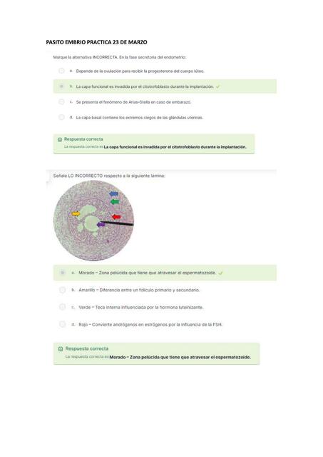 EXAMEN SEMANAL DE EMBRIOLOGIA PRACTICA PRIMERA FASE