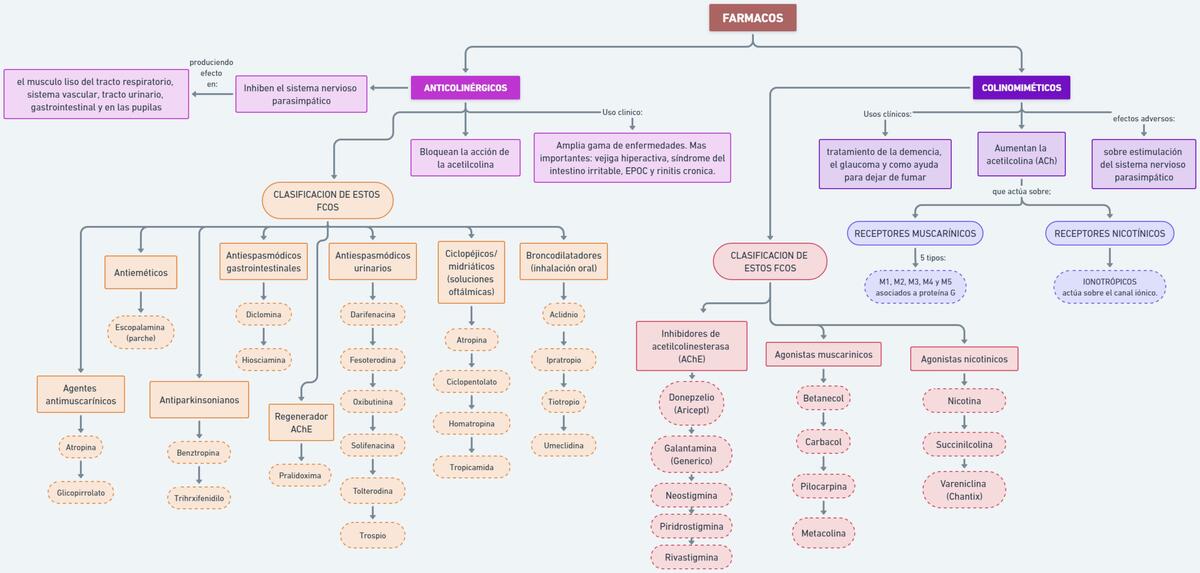 Anti colinérgicos 
