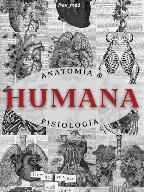 Anatomía y Fisiología Humana