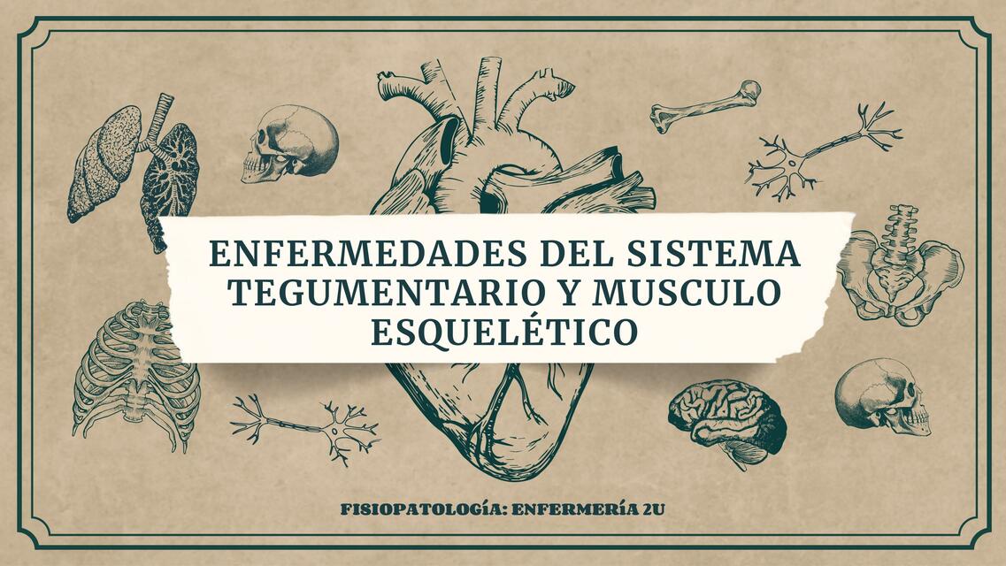 Enfermedades del sistema tegumentario y músculo esquelético 