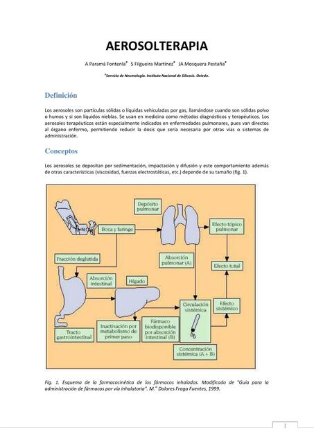 Aerosolterapia