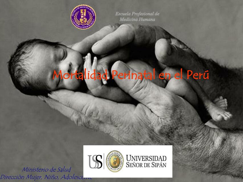 Mortalidad perinatal en el Perú 