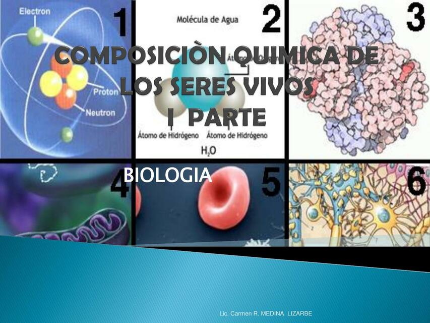 Composición química de los seres vivos I