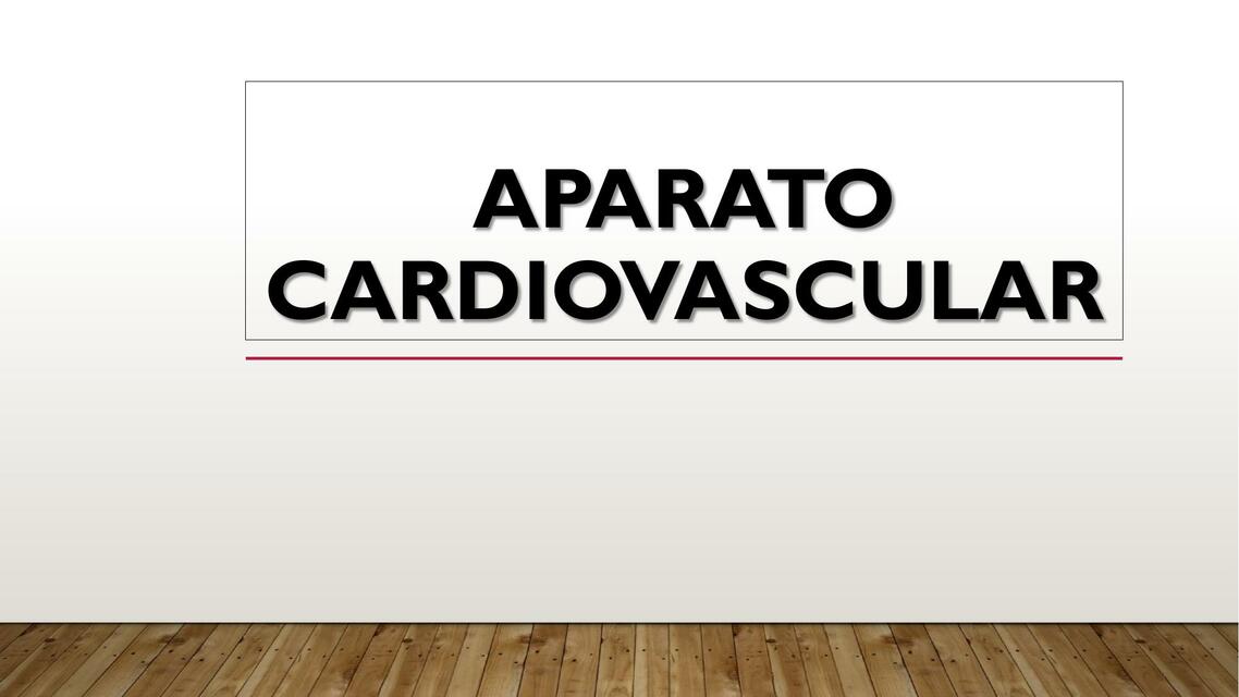 Aparato cardiovascular