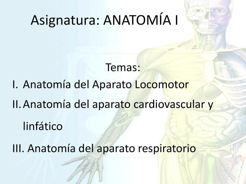 Introducción Anatomia