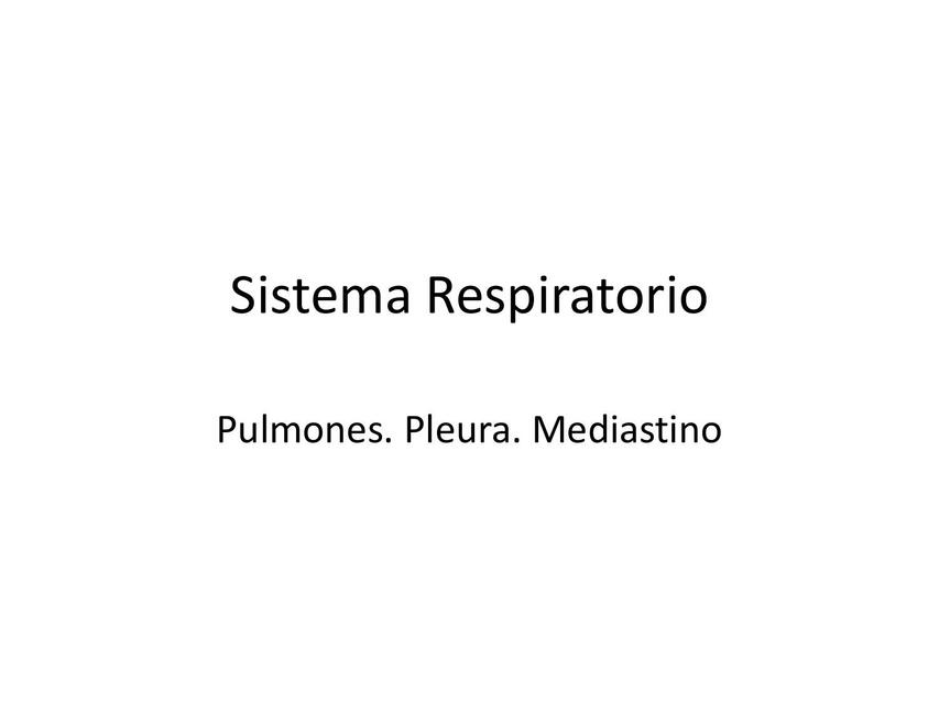 S Respiratorio2