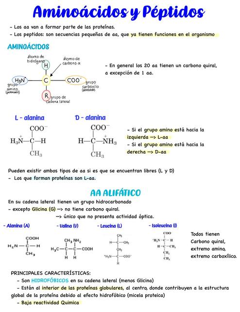 Aminoacidos y peptidos 