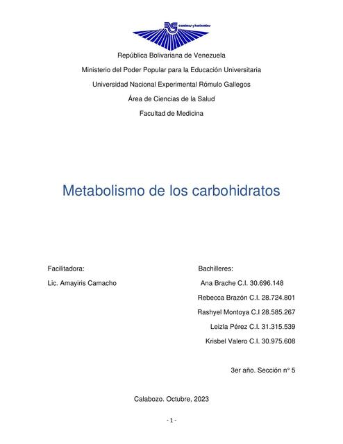 Metabolismo carbohidratos nutrición 1