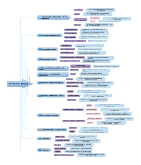 Clasificación de las Enfermedades de la piel