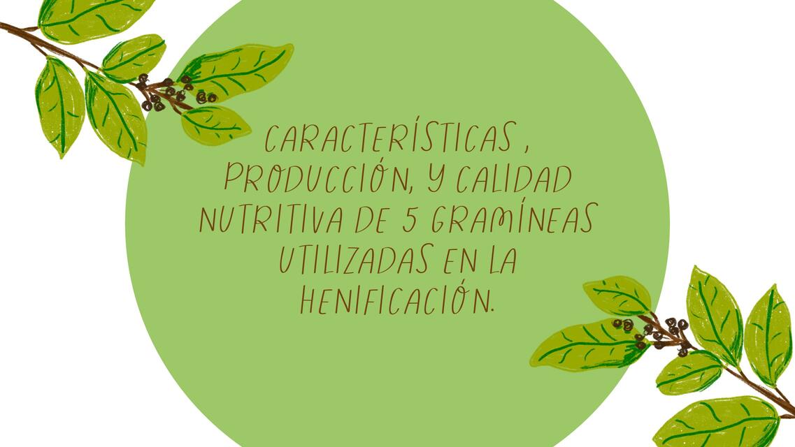 Característica, producción y calidad nutritiva de 5 gramíneas utilizadas en la henificación 