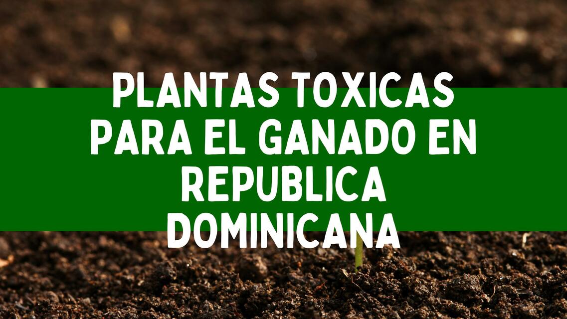 Plantas toxicas para el ganado en Republica Dominicana