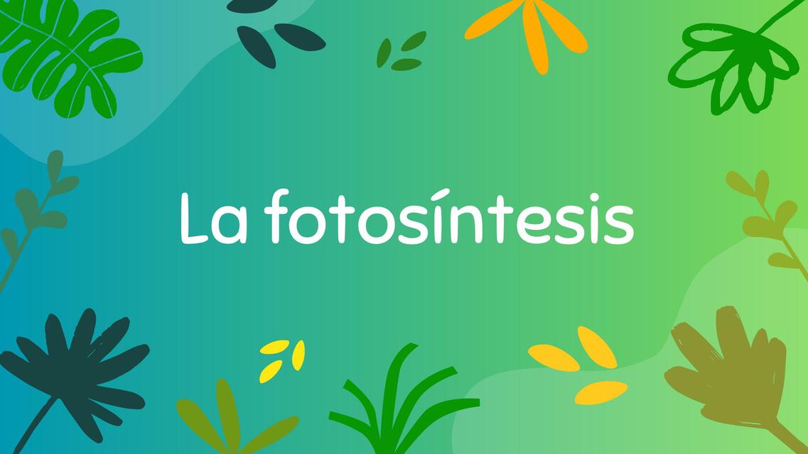 La fotosíntesis