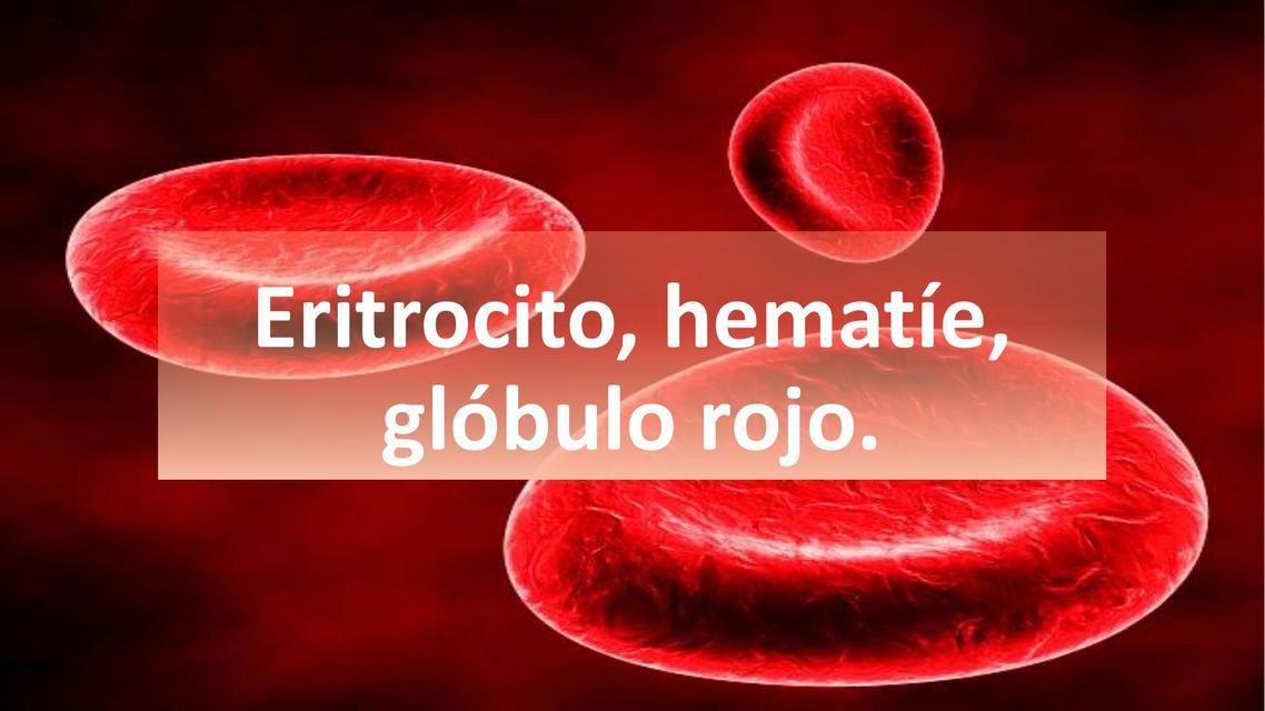 Resúmenes de Eritrocitos | Descarga apuntes de Eritrocitos