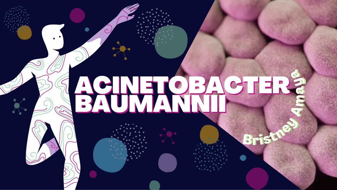 ACINETOBACTER BAUMANII