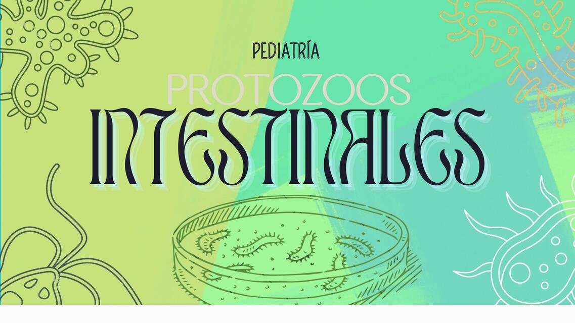 PROTOZOOS INTESTINALES