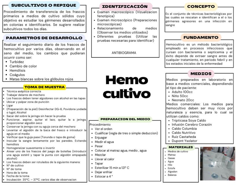 HEMOCULTIVO