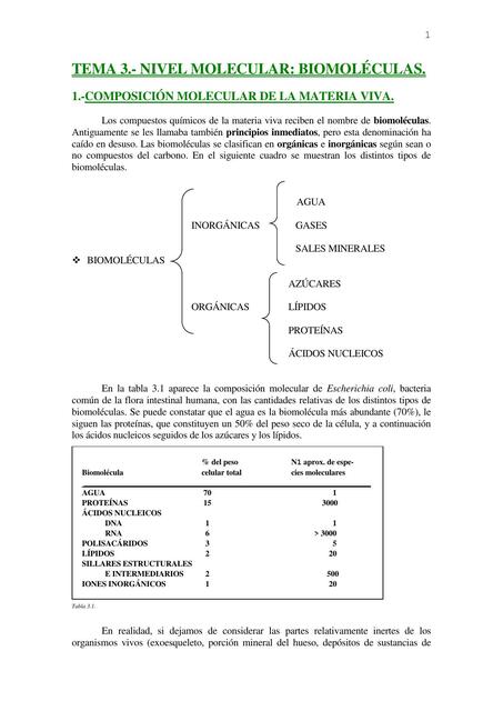 Biomoleculas 2024