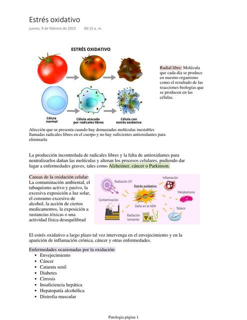 Estrés oxidativo