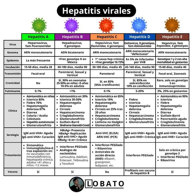 Hepatitis virales 🩺| Cuadro comparativo