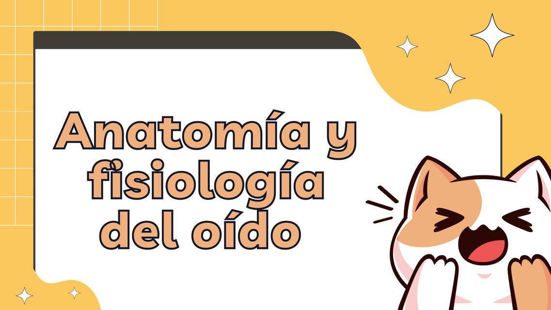 Anatomía y fisiología del oído