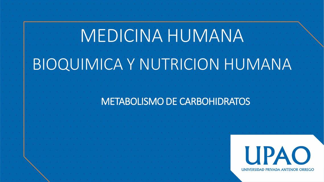 Sem7MetabolismodeCarbohidratosGestacionLactancia M