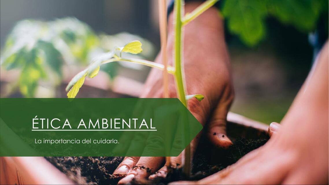 ETICA AMBIENTAL