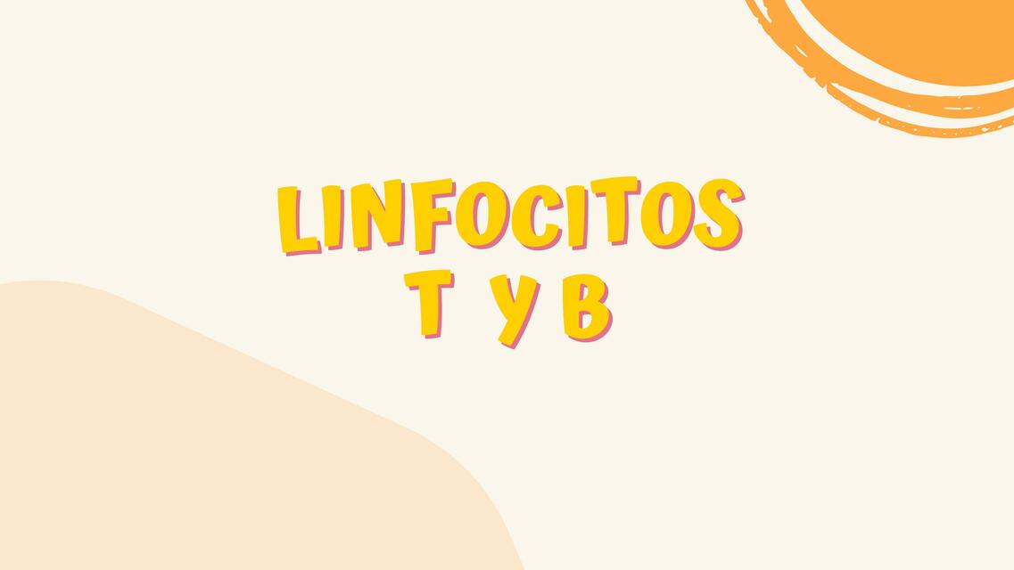 Linfocitos T y B